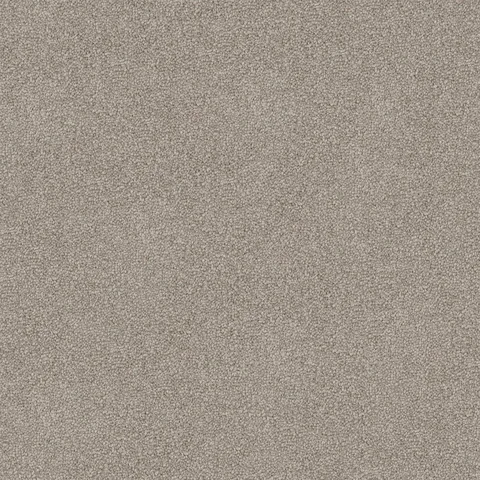 Sandshell carpet swatch